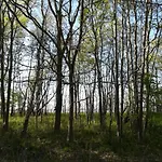 Lejlighed Oaza Kolobrzeg-podczele Kompleks Feniks Basen Silownia Jacuzii Kołobrzeg