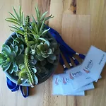 Lejlighed Oaza Kolobrzeg-podczele Kompleks Feniks Basen Silownia Jacuzii *