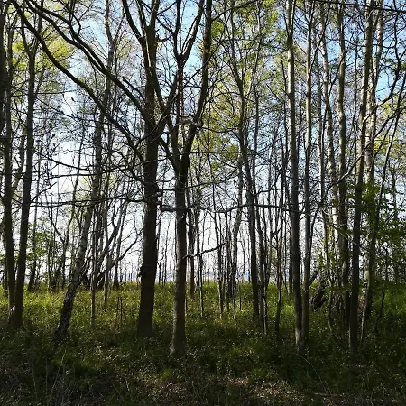 Lägenhet Oaza Kolobrzeg-podczele Kompleks Feniks Basen Silownia Jacuzii Kołobrzeg